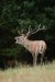 0Y8A8140_filtered